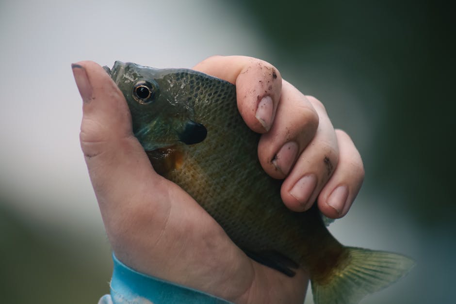 A tiny fish held gently in a human hand against an outdoor backdrop.
